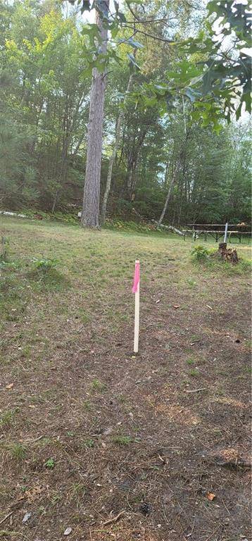 Gordon, WI 54838,12029 Lot 2 E County Highway Y Highway