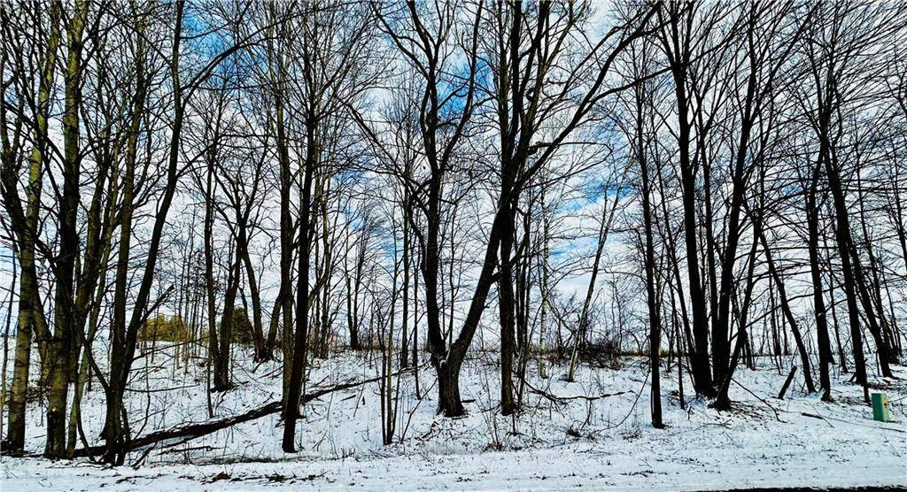 Chippewa Falls, WI 54729,Lot 2 180th Street/181st Street