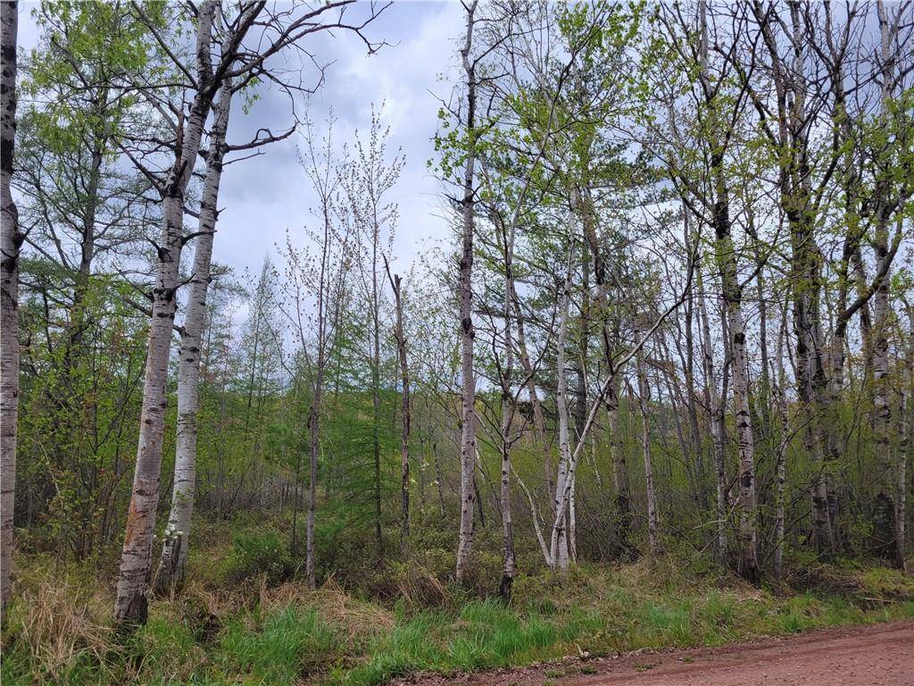 Mellen, WI 54546,ON Pufal Road