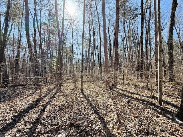 Hayward, WI 54843,Lots 8-20 Lake Drive