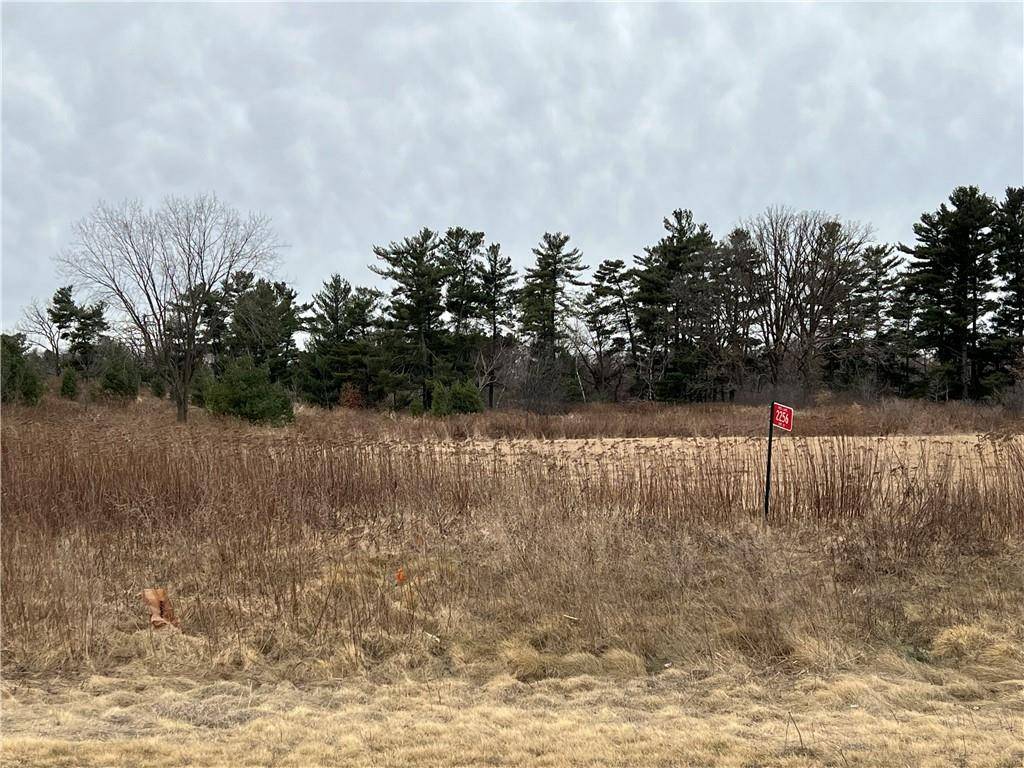Rice Lake, WI 54868,2256 21st Street