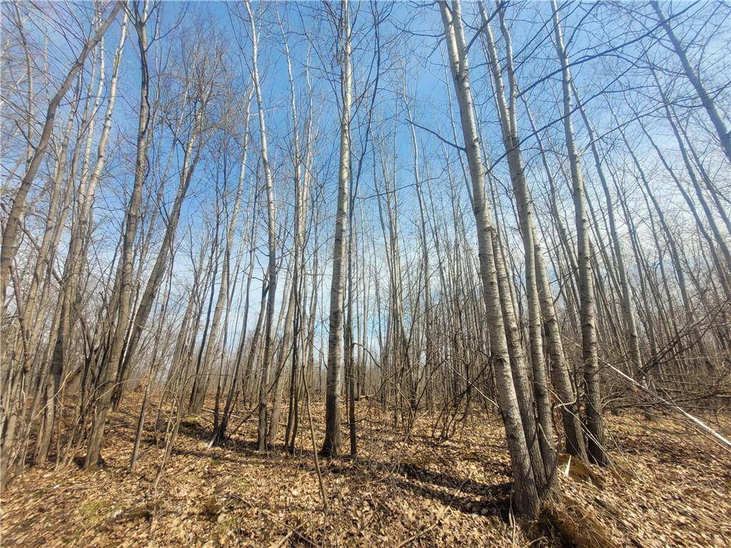 Ladysmith, WI 54848,On Dean Road