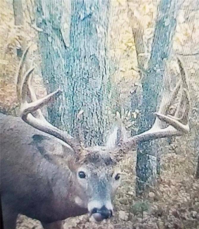 Fairchild, WI 54741,22045 Zink Road