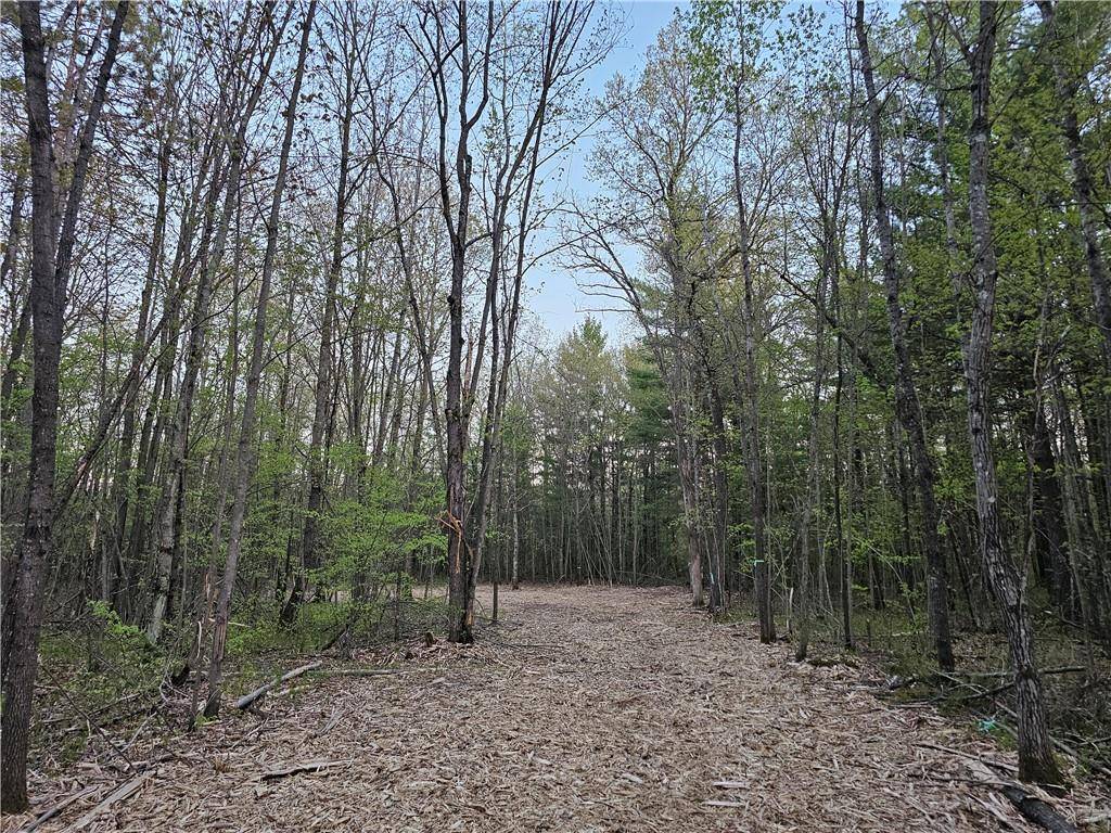 Holcombe, WI 54745,Lot 8, 2.08+/- Acres 295th Avenue