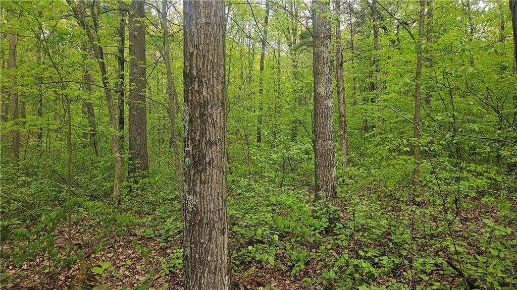 Stone Lake, WI 54876,Lot 2 Buckeye Lane