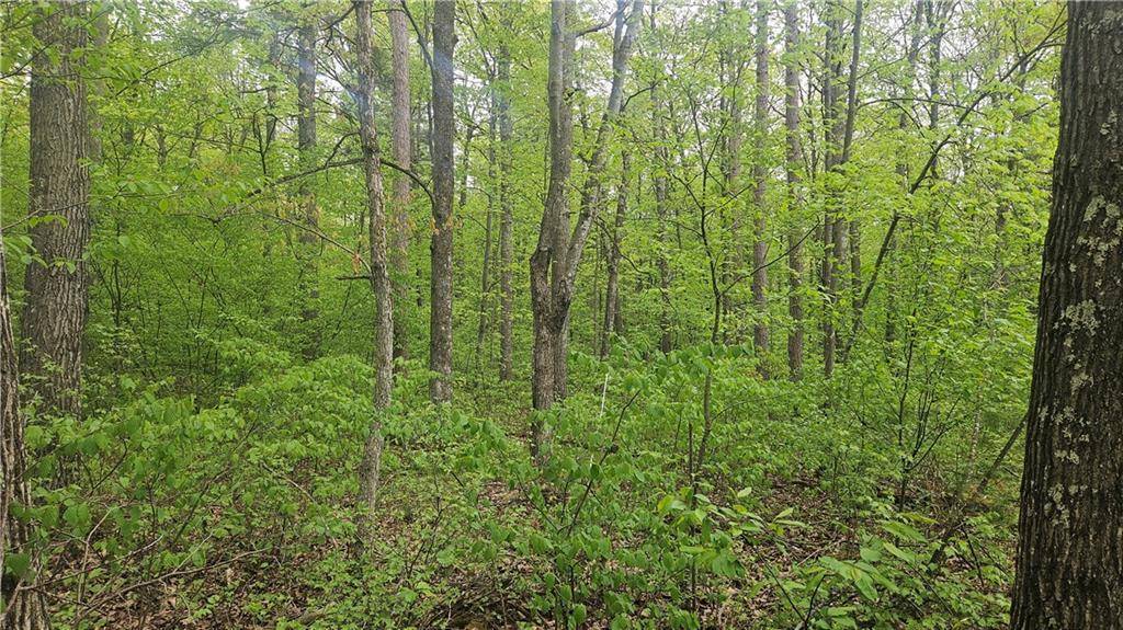 Stone Lake, WI 54876,Lot 2 Buckeye Lane