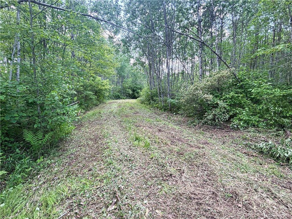 Radisson, WI 54867,486.02 Acres Cemetery Road