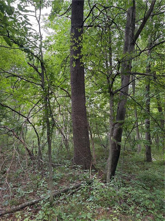 Chetek, WI 54728,20 Acres 22 1/4 Street