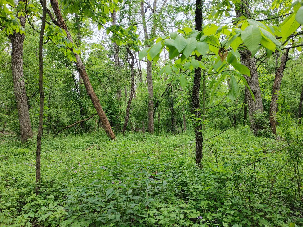 Delavan, WI 53115,Lt4 WISCONSIN PARKWAY