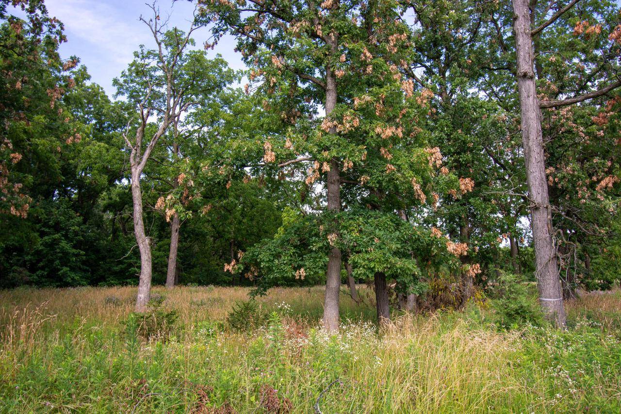 Lake Geneva, WI 53147,Lt20 SPRINGFIELD ROAD