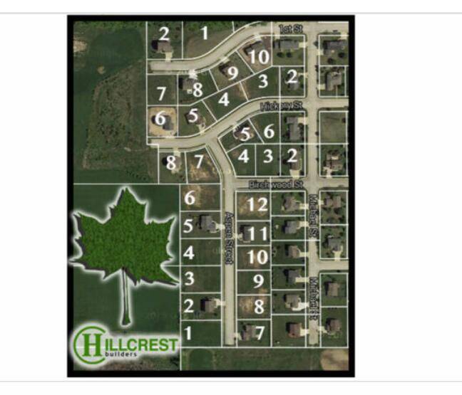 Belgium, WI 53004,Lt3 BIRCHWOOD STREET