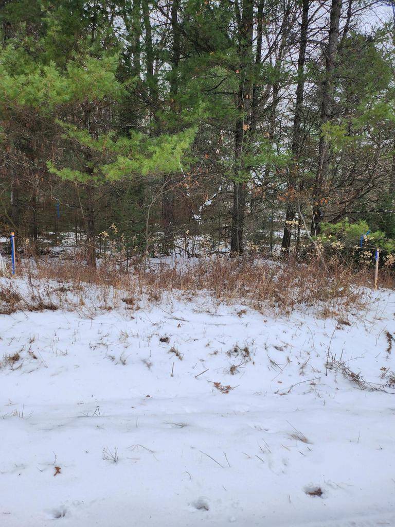 Wausaukee, WI 54177,Lt0 JERMAC ROAD