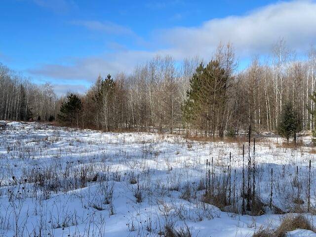 Laona, WI 54541,Lt44 BIG CUB TRAIL