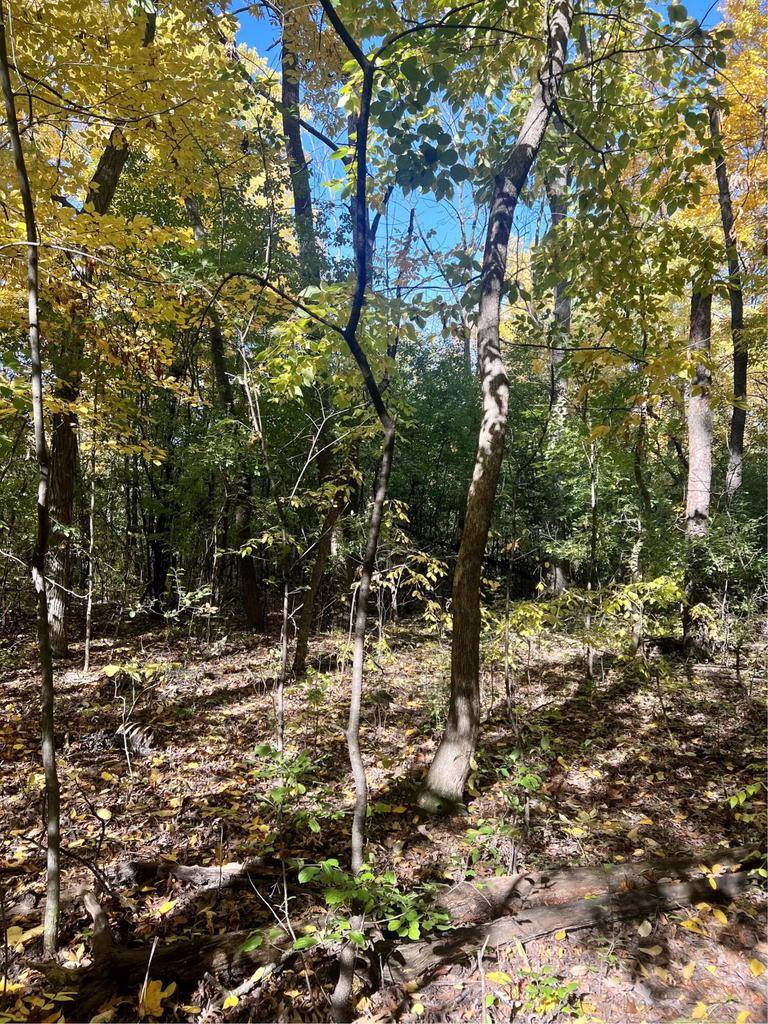 New Berlin, WI 53146,Lt2 DOWNIE ROAD