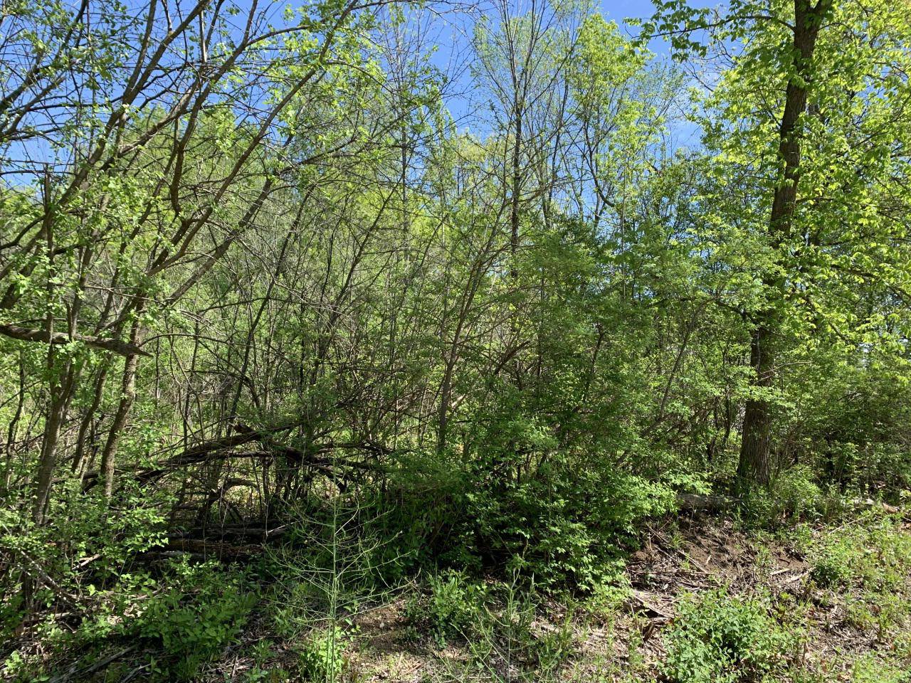 Campbellsport, WI 53010,Lt6 LAKE DRIVE