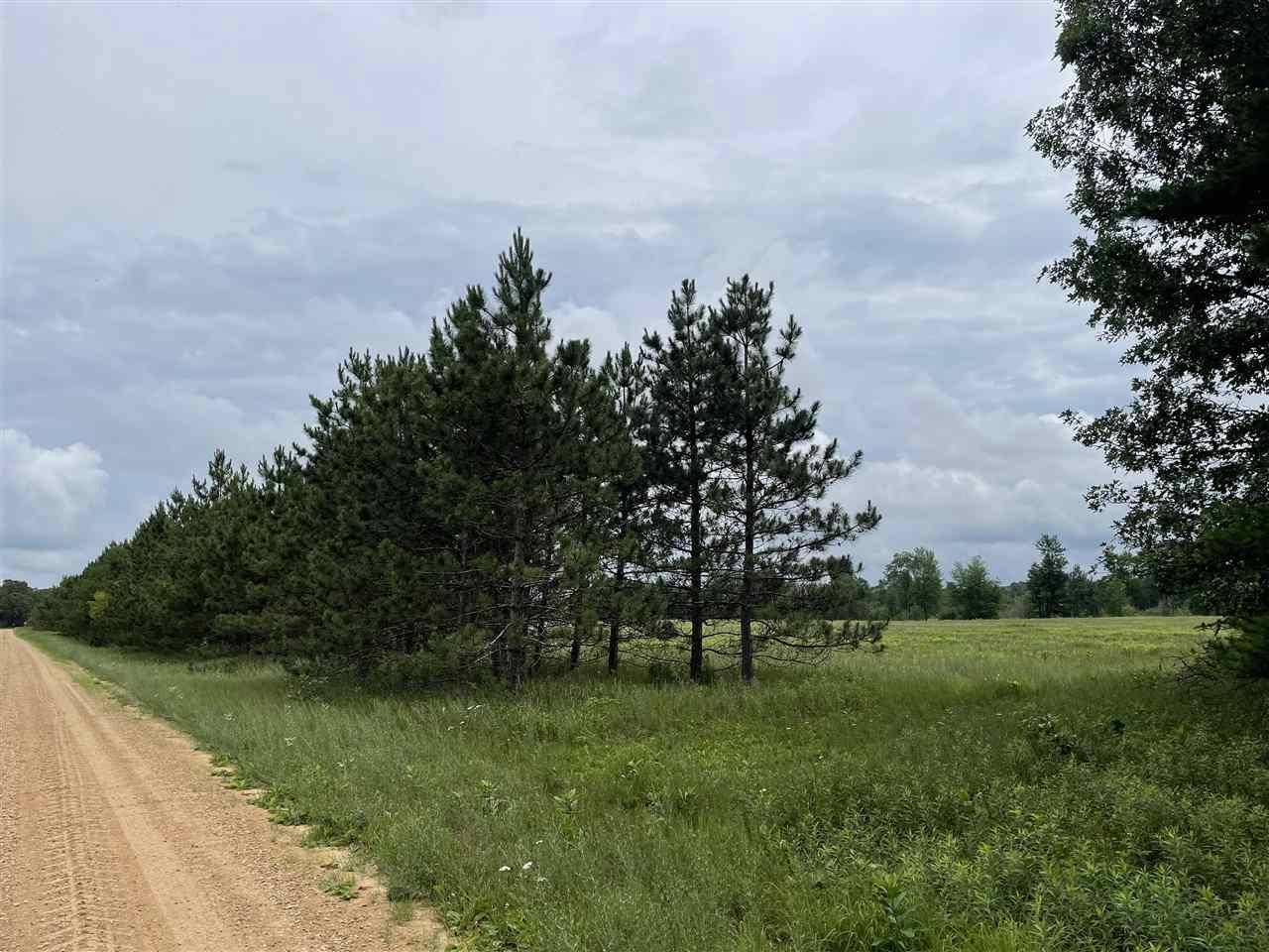 Friendship, WI 53934,40 Acres 4th ave