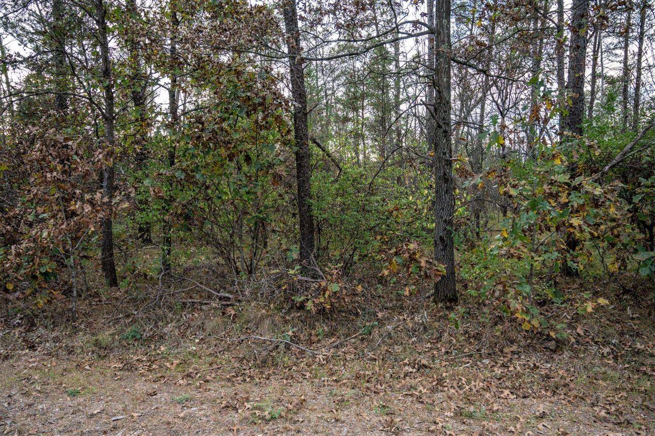 New Lisbon, WI 53950,Lots 237 & 242 Woodland Trail