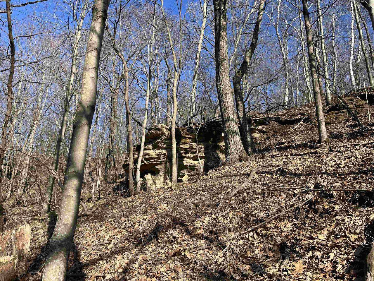Kendall, WI 54638,0 Country Road W
