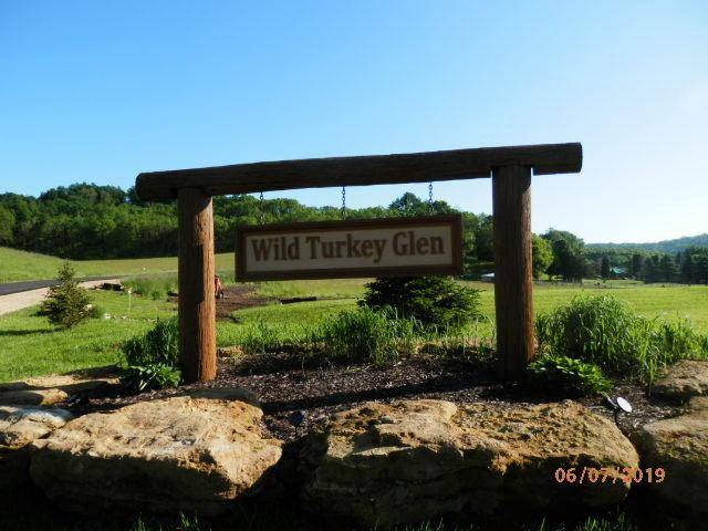 Richland Center, WI 53581,L10 Wild Turkey Lane