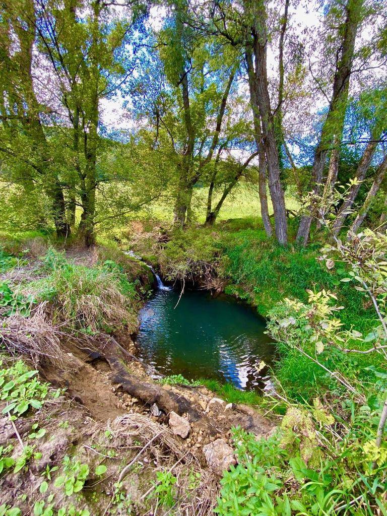Norwalk, WI 54648,County Road  XX