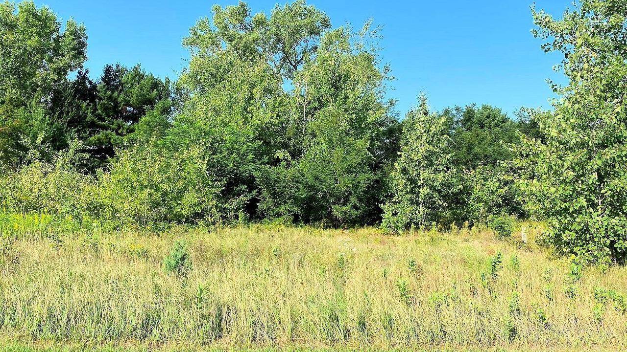 Wisconsin Dells, WI 53965,Lot 2 Chula Vista Parkway