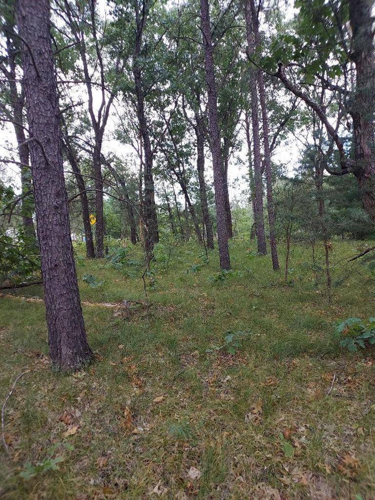 Adams, WI 53910,Lot 21 N Duck Creek Court