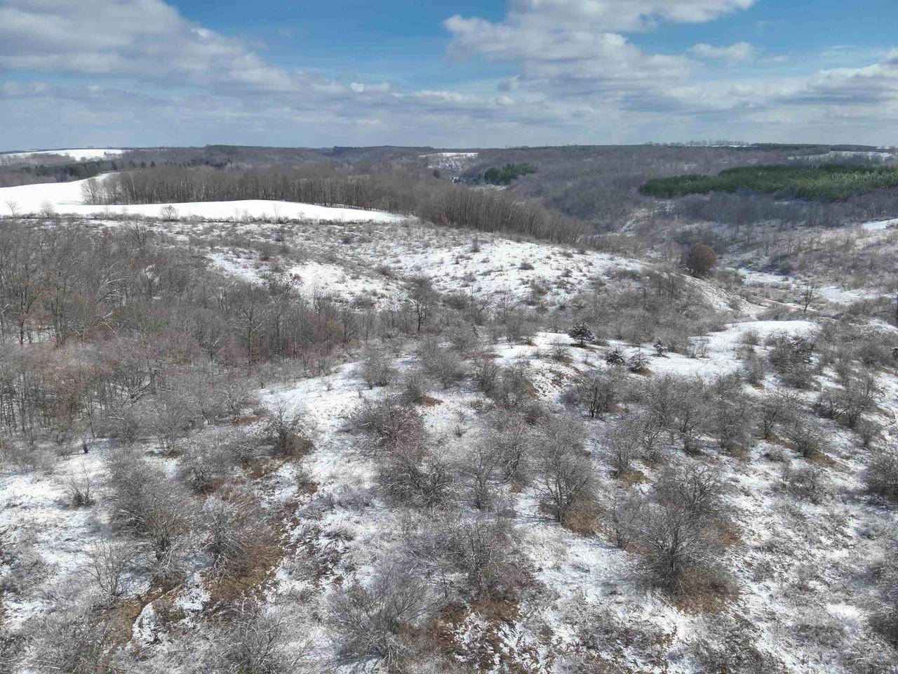 Hillsboro, WI 54634,49 Ac Gault Valley Road