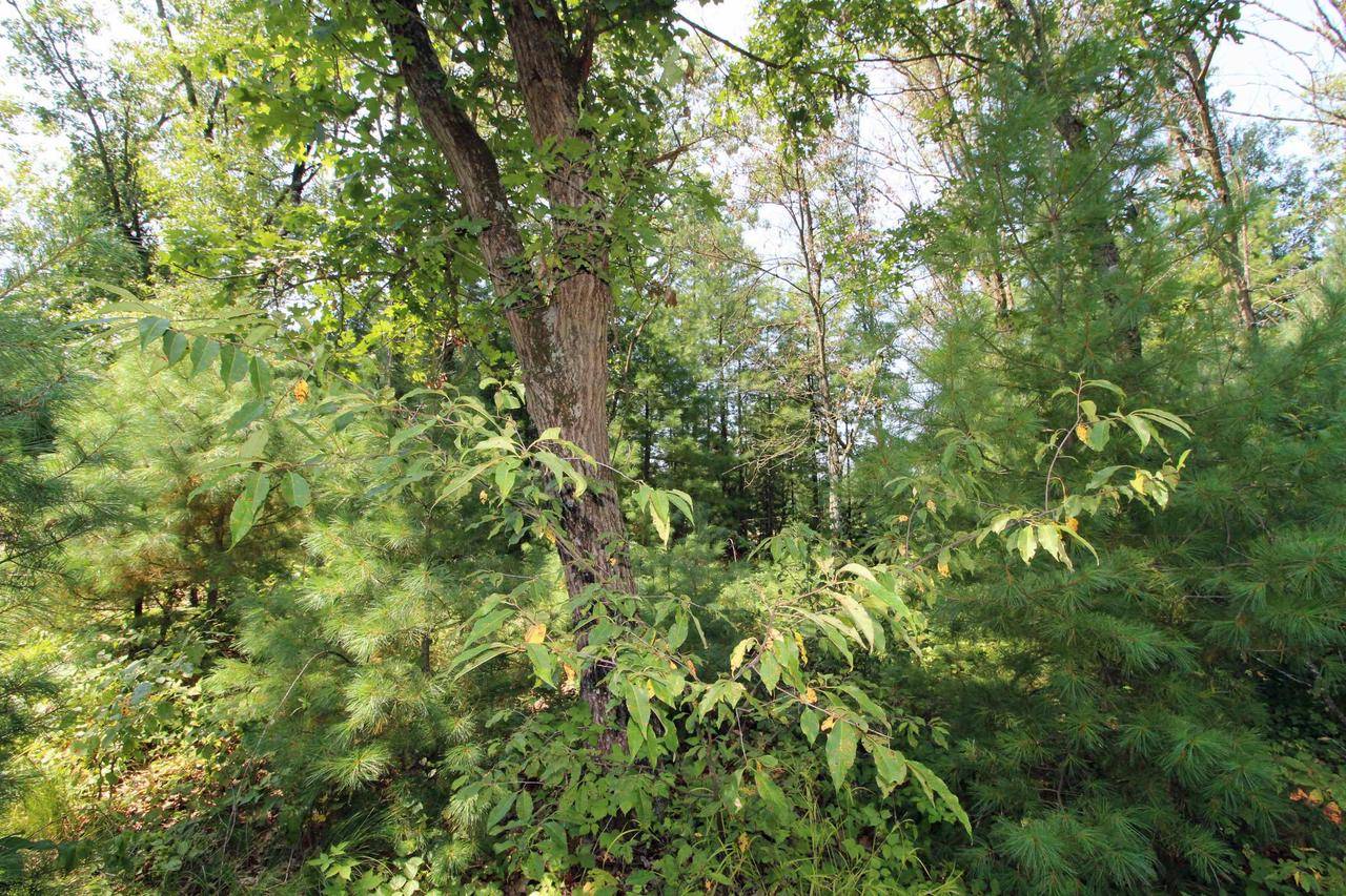 Spring Green, WI 53588,Lot14 Timber Trail