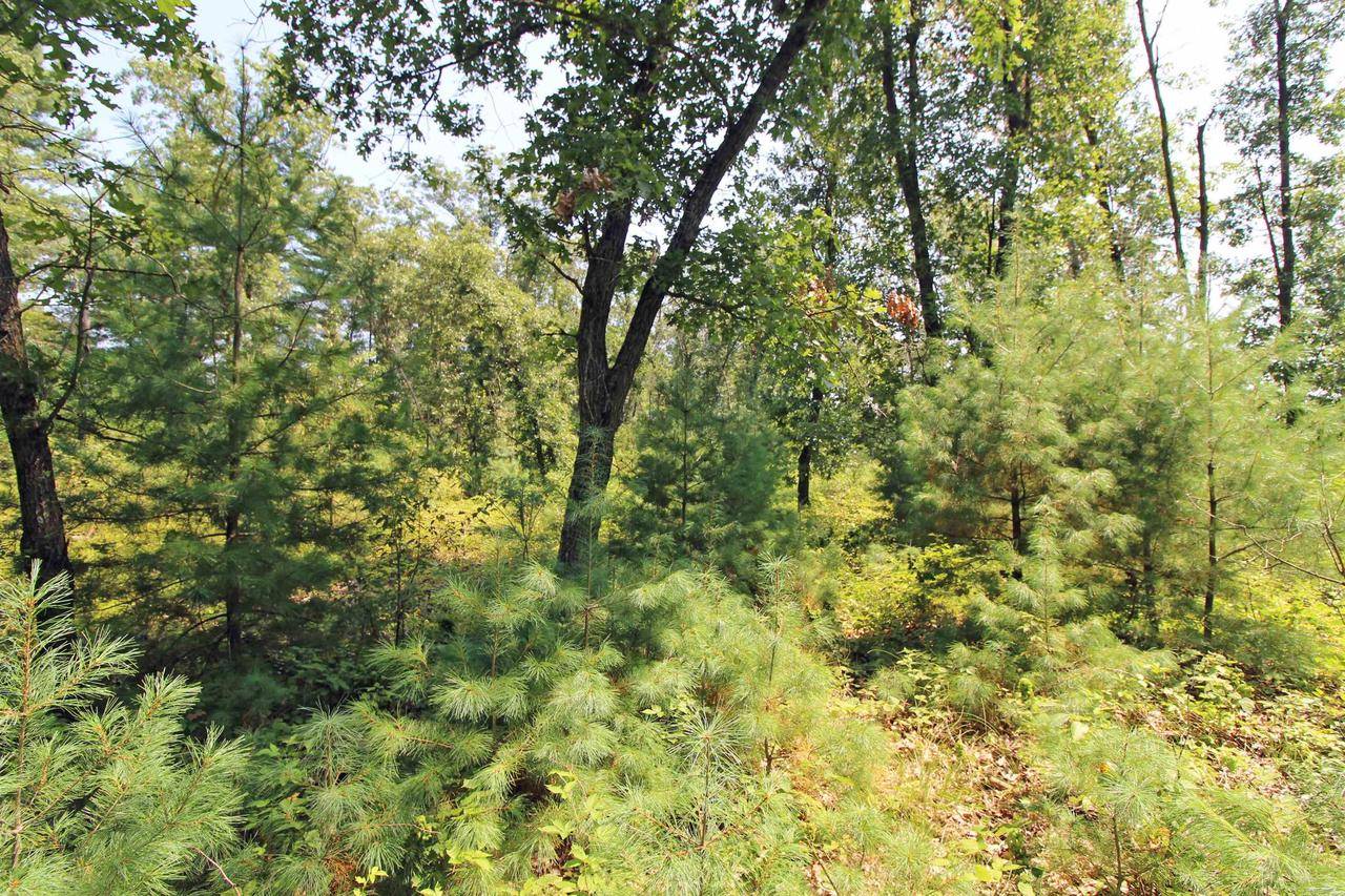 Spring Green, WI 53588,Lot14 Timber Trail