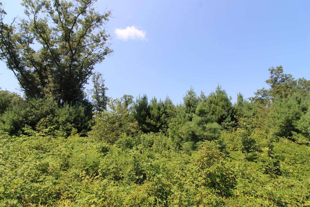 Spring Green, WI 53588,Lot19 Timber Trail