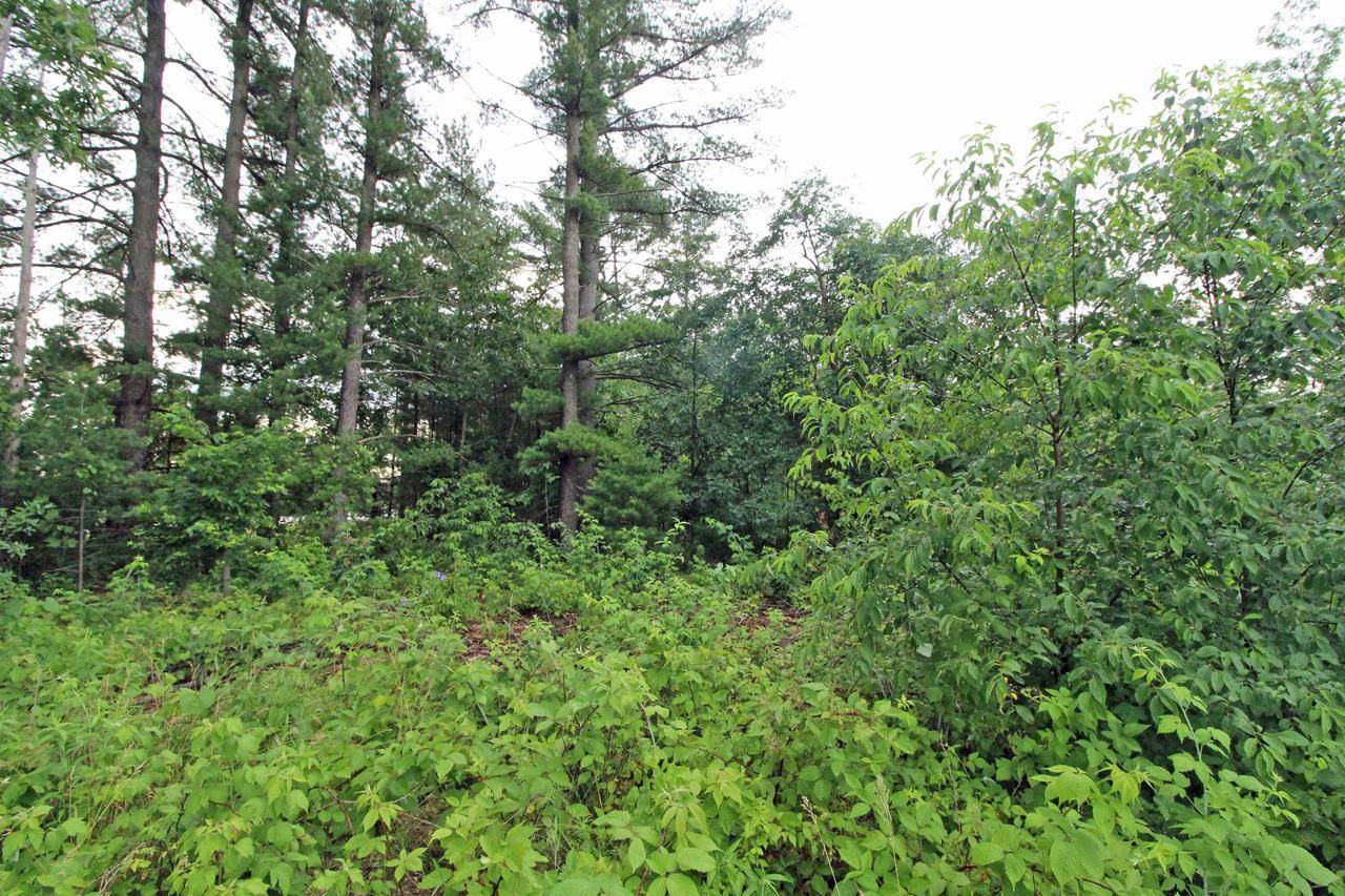 Spring Green, WI 53588,Lot 8 Spruce