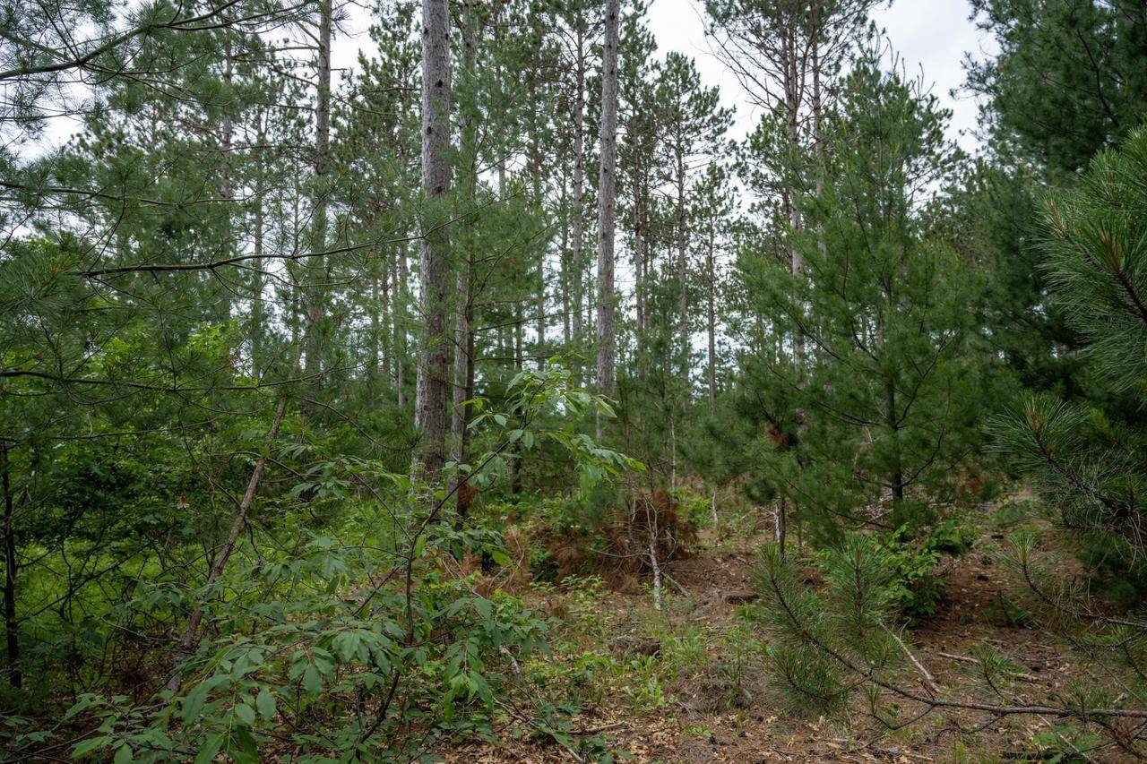 Nekoosa, WI 54457,Lot 1 Bollig Court