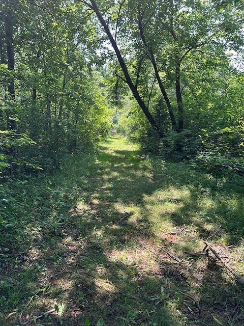 Necedah, WI 54646,2.04 AC. Grand View Trail