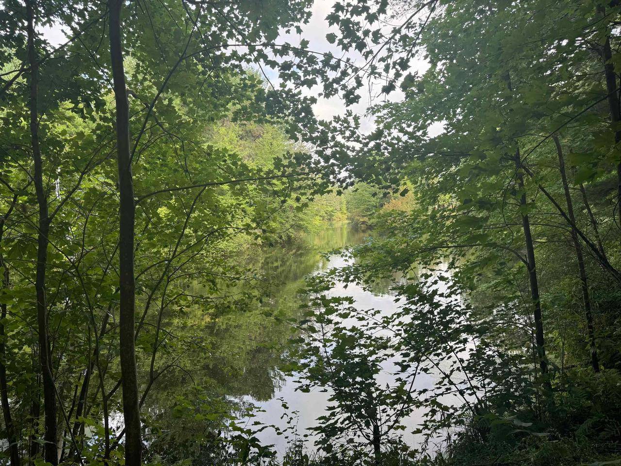 Wisconsin Dells, WI 53965,161 Lake Shore Drive