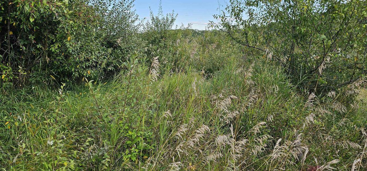 La Valle, WI 53941,Lot 108 White Flagg Lane