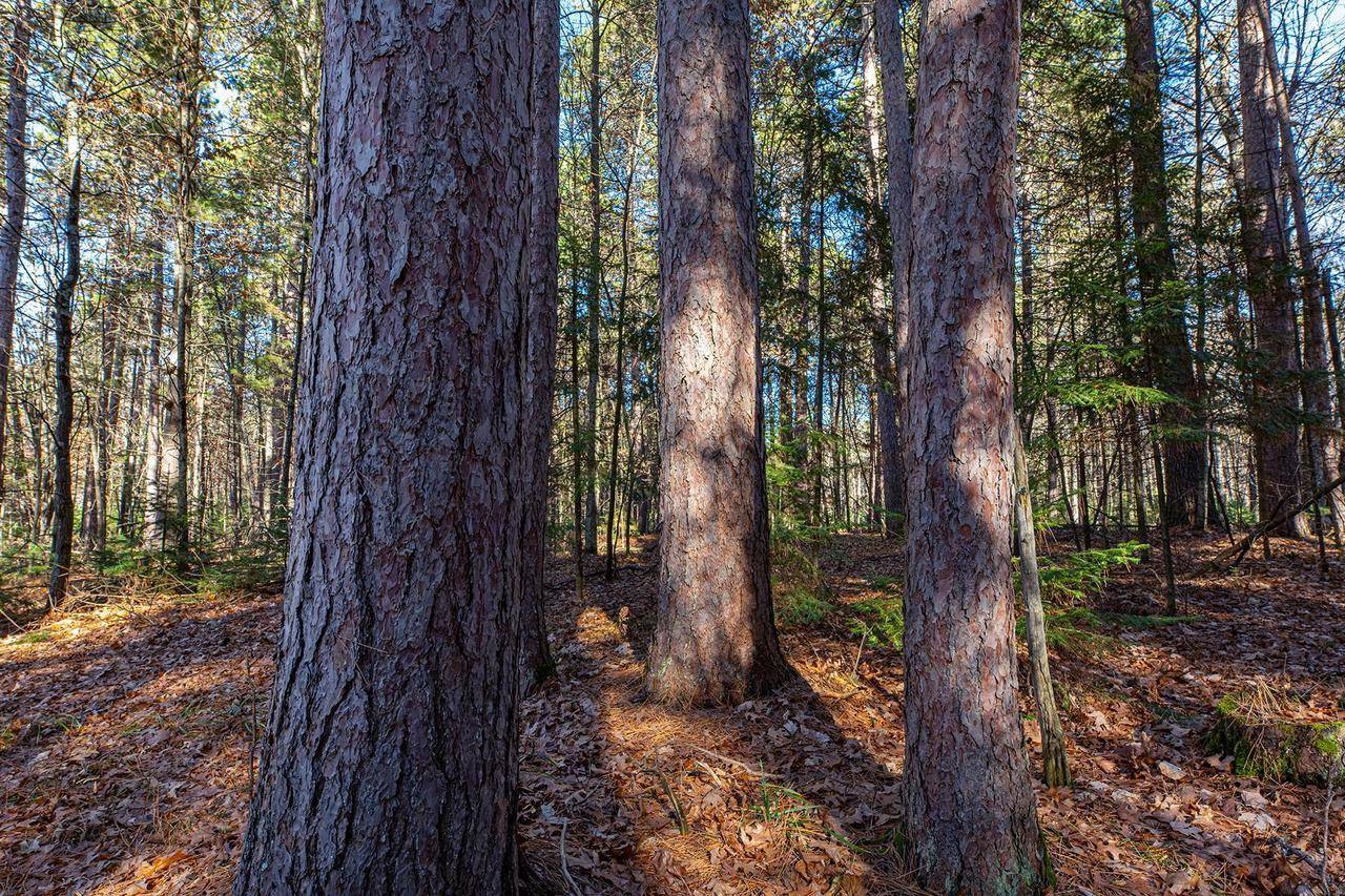 Tomahawk, WI 54487,Lot 18 The Point Road W