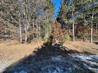 Nekoosa, WI 54457,W3152 Yellow Banks Trail