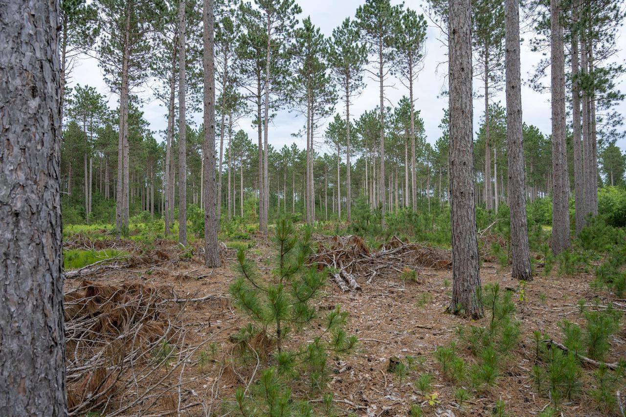 Nekoosa, WI 54457,Lot 5 Bollig Court