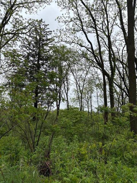 Soldiers Grove, WI 54655,0 Boyle