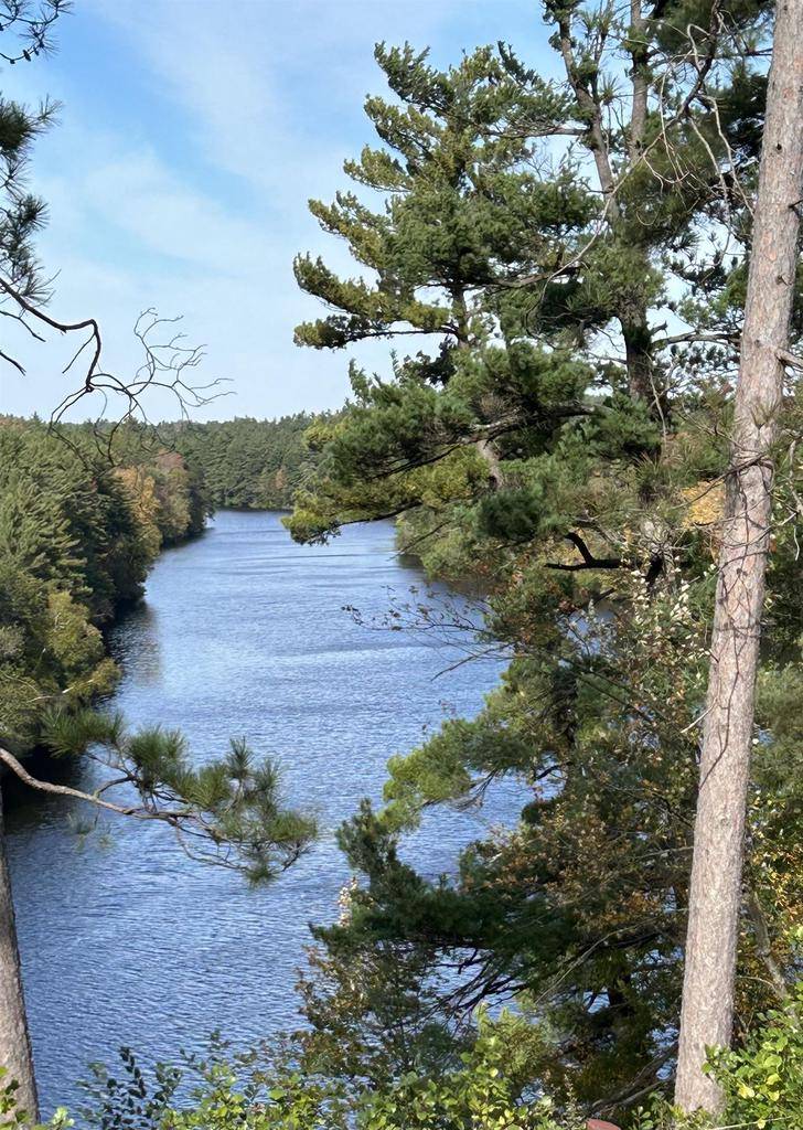 Black River Falls, WI 54615,Lot 4 Betty Lane