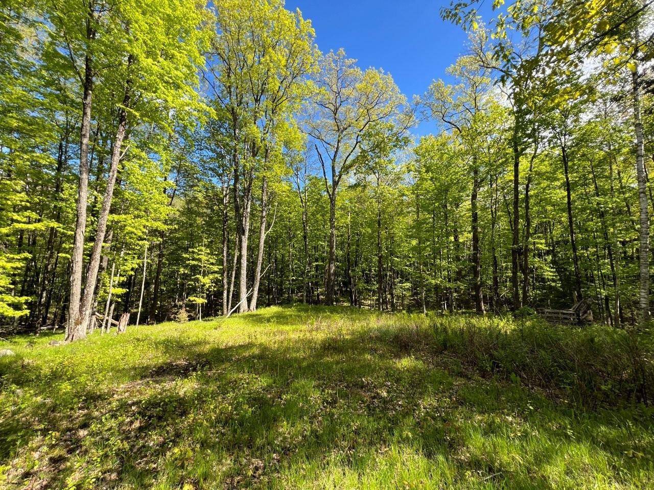 Other, WI 54463,19.95 Acres Old Elcho Road