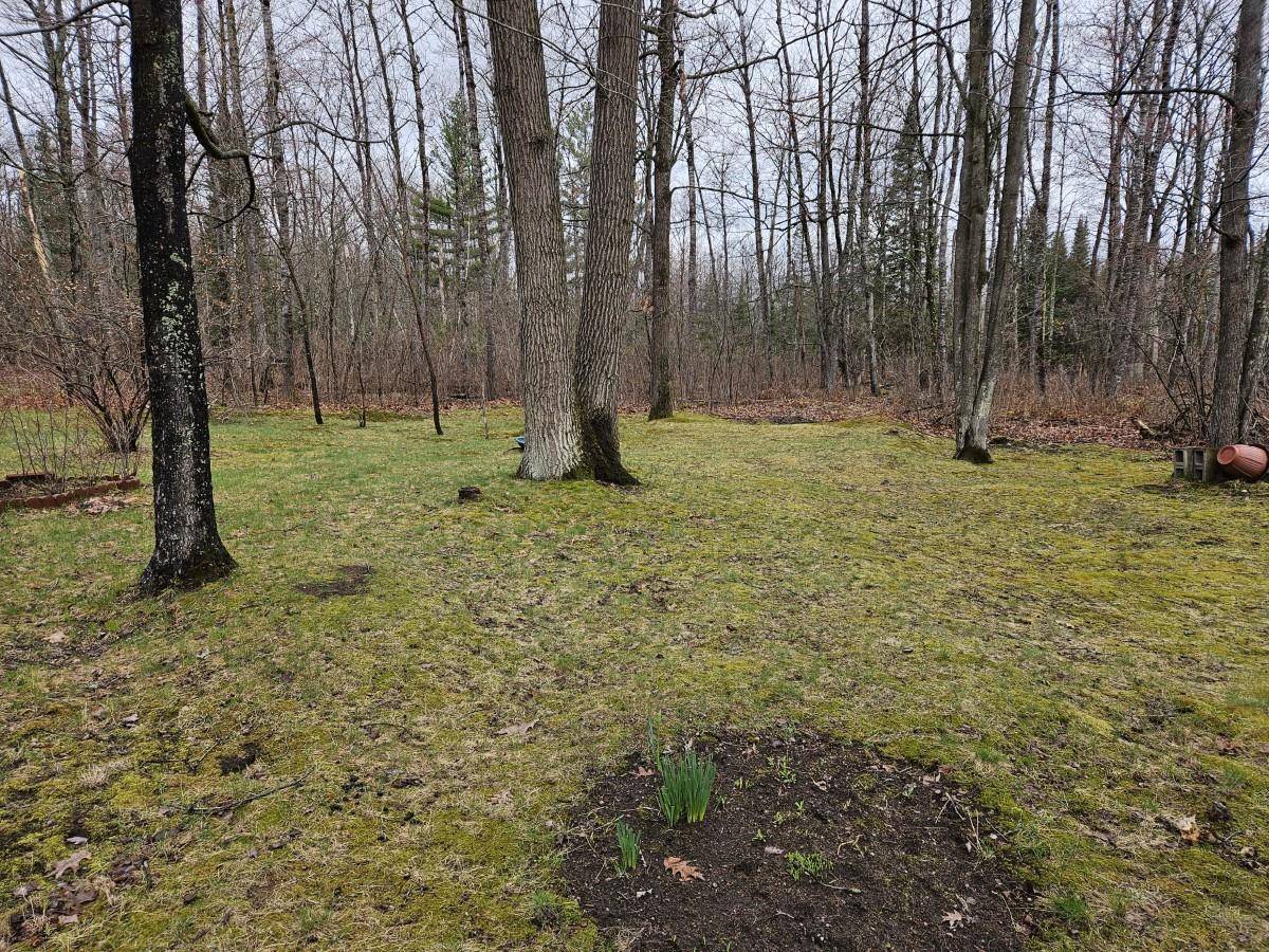 Rhinelander, WI 54501,7102 Fire Tower Road