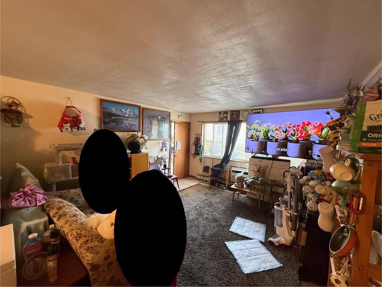 Madison, WI 53711,2338 Allied Drive #1