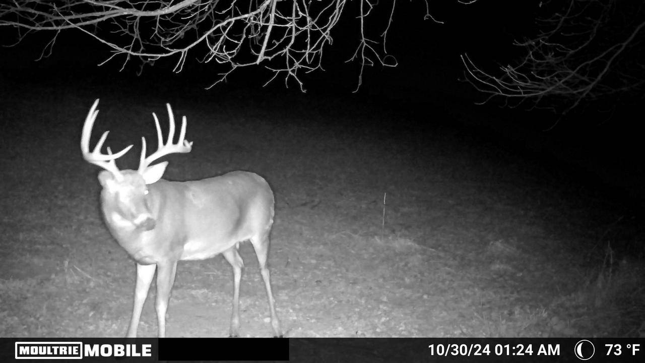 Viroqua, WI 54665,E4097 County Road O