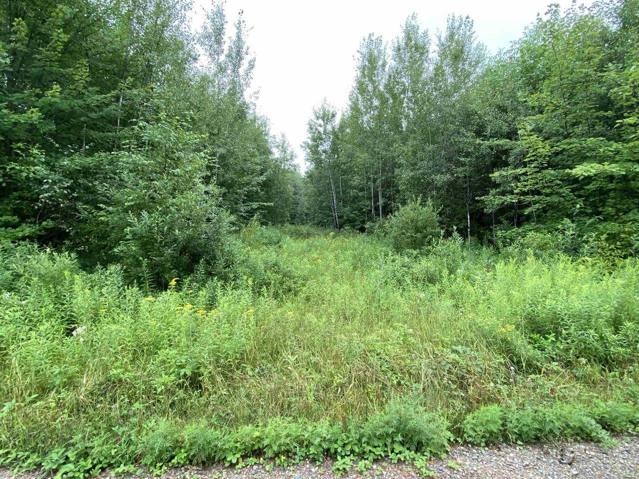 Merrill, WI 54452,ON JOE SNOW ROAD #Sale 2044-4