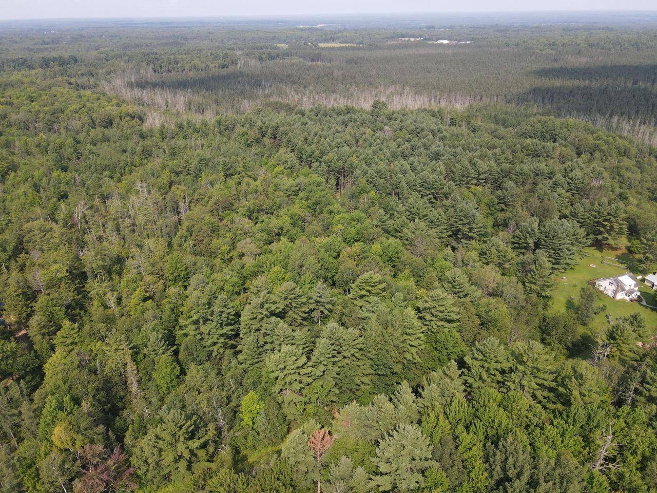 Ogema, WI 54459,000 DAHL ROAD