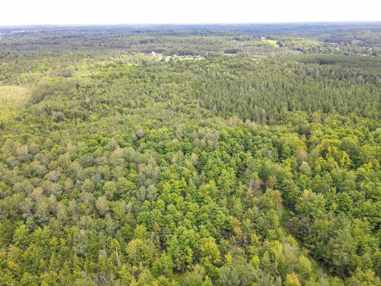 Park Falls, WI 54552,93.89A on KUNDINGER ROAD
