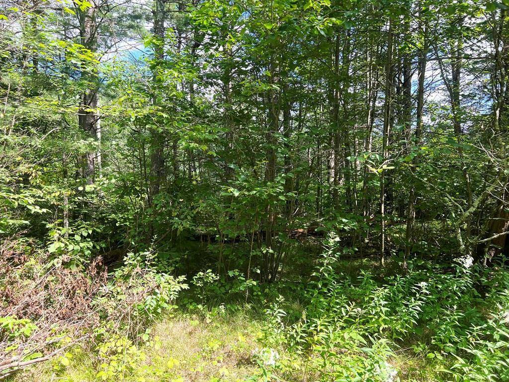 Merrill, WI 54452,Lot 10 PINE RIVER ROAD