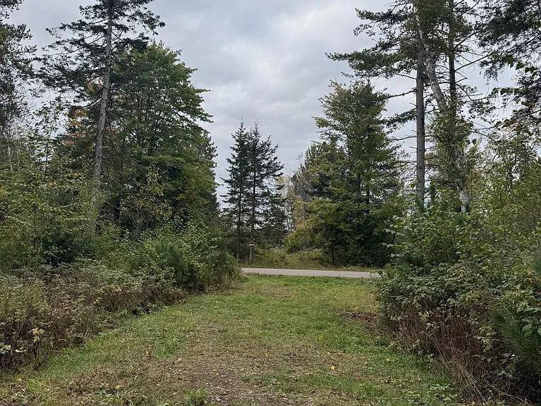 Tomahawk, WI 54487,Lot 4 PINE SHORE LANE