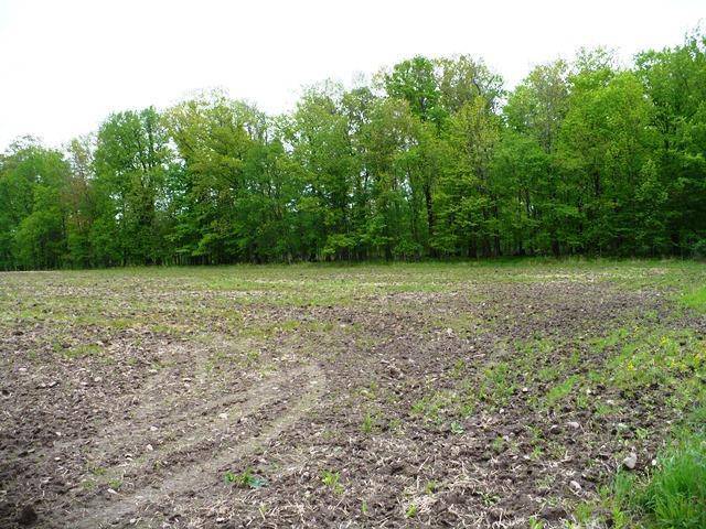 Neillsville, WI 54456,Sec 2 FISHER AVENUE